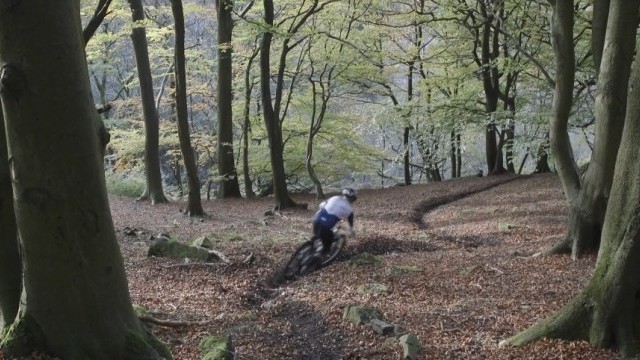 Autumn With Matt Stuttard