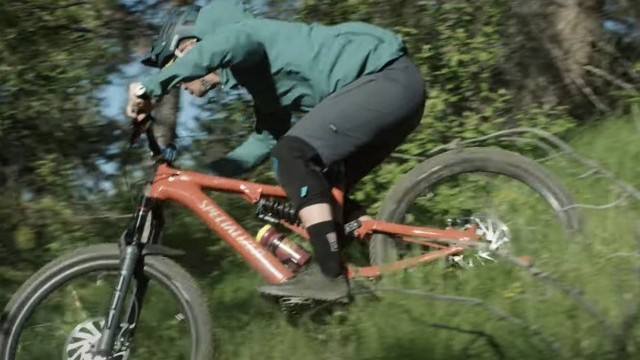 Free Radicals: ZEB eMTB