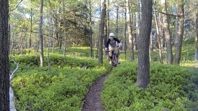 First Days of Spring