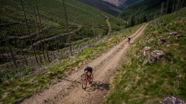 TweedLove’s Bergamont Gritopia Takes On a New Format