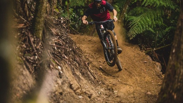 The All-New Carbon Process 29 Is Here!