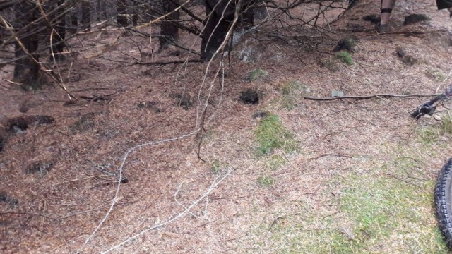Afan Trail Sabotage: Neck Height Barbed Wire