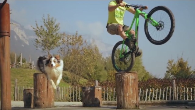 Ed and Aurel | Dog Vs Mountainbike Tricks