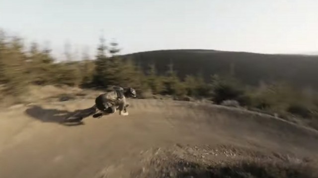 ROSE GROUND CONTROL - Surf the trail