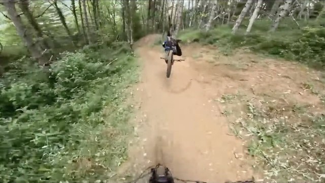 Wipeout Wednesday!