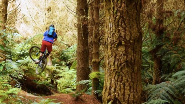 Welcome to the Jungle - Mountain Biking in the Rainforest of Rotorua