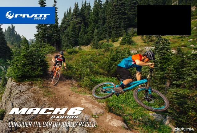 Pivot Cycles Issue 62