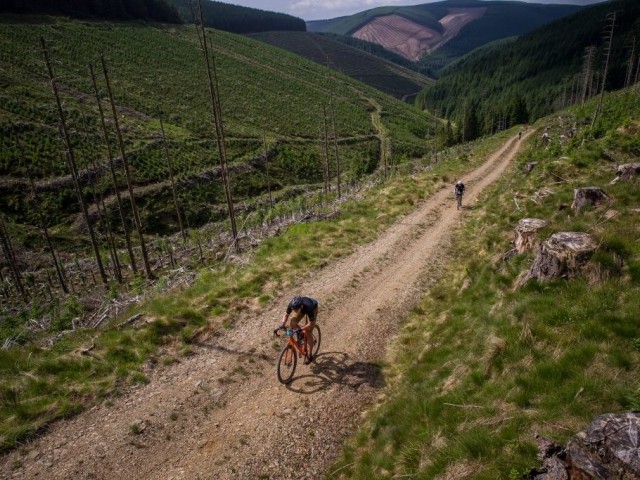 TweedLove’s Bergamont Gritopia Takes On a New Format