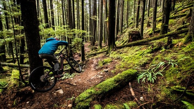 Winter On The North Shore With Scott Mackay