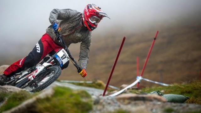 Steps to the Top | Luca Shaw