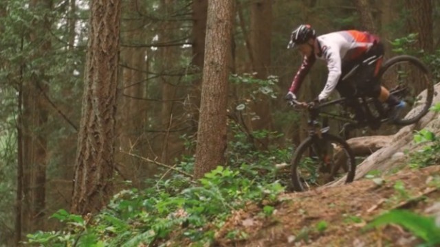 Remi Gauvin - Shore Play