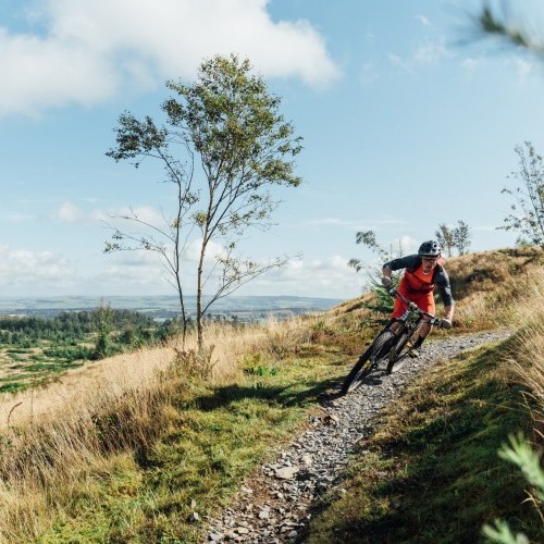 The Need For Speed Mountain Bike Technique