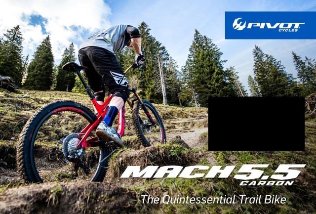Pivot Cycles Issue 48