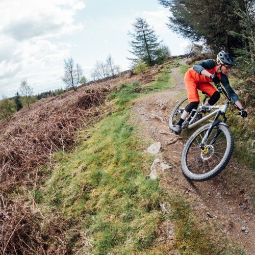 Looks Like a Session Mountain Bike Technique