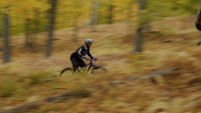 In the Blink: Episode 1 - Fall Colours
