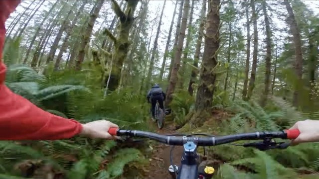 Transition bikes staff goes tripping in the woods