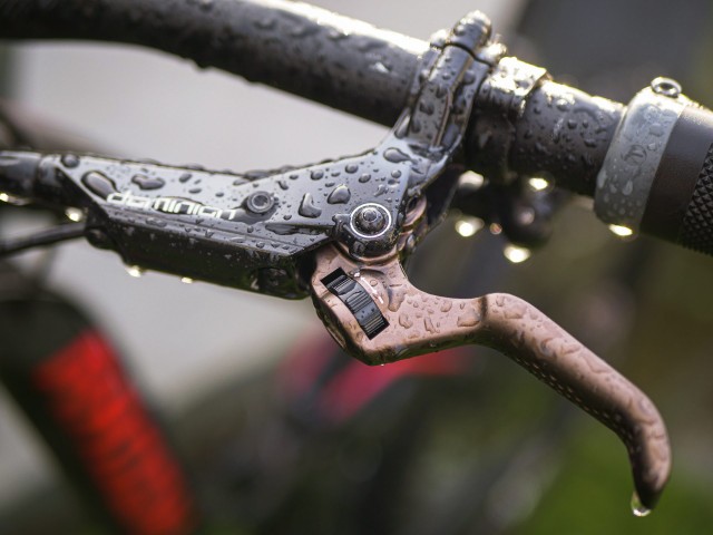 Hayes Components Dominion A4 Brake 2019