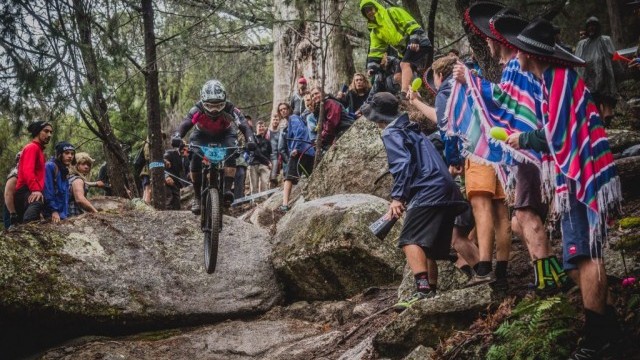 EWS Tasmania Gallery- Nathan Chilcott Visual