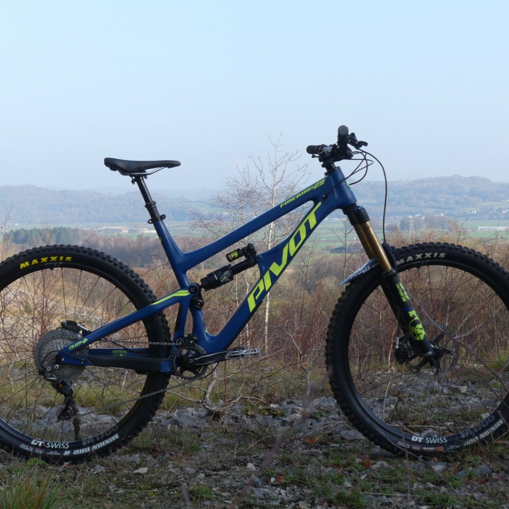 firebird 29er