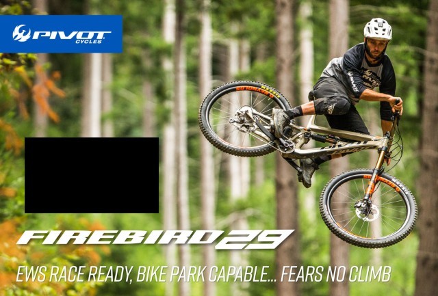 Pivot Cycles Issue 54