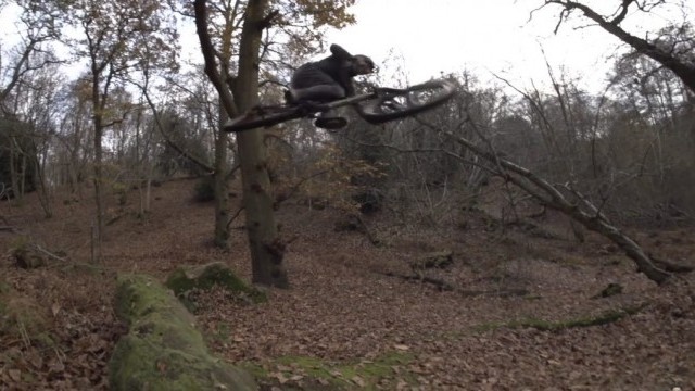WOODLAND JIBBING