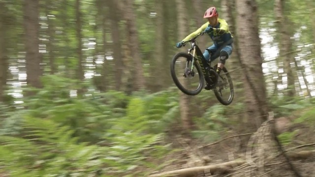 The Spokes BikeShop Massiv