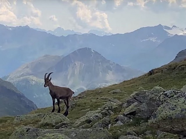 Would you ride this technical trail? La Stretta with Hans Rey