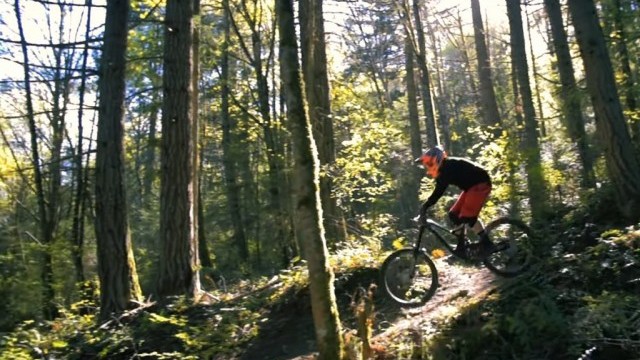 Canadian Sky Pilot || 2019 [4K]