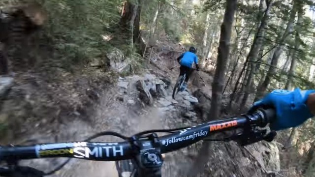 Squid Run | Skyline Queenstown Bike Park