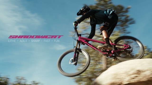 Pivot Shadowcat sighted in the wild!