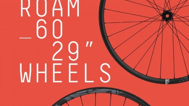 SRAM Roam 60 Carbon 29" Wheels