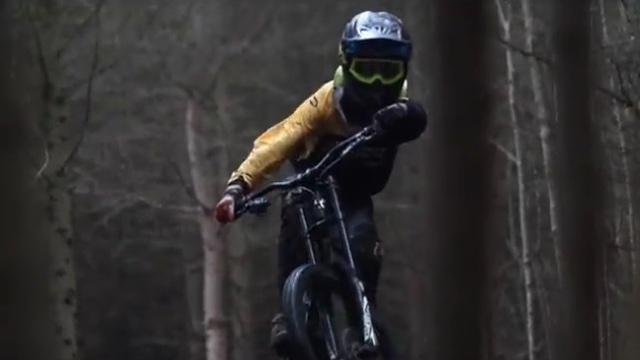Nukeproof Development Team 2016