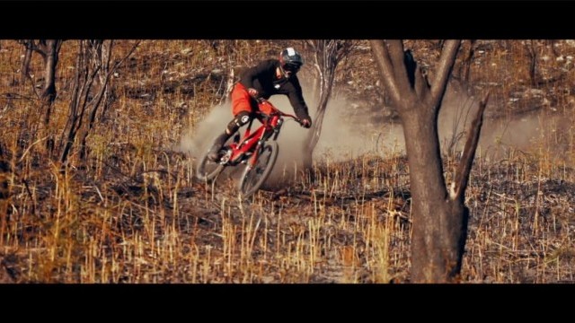 DEITY: Slash and Burn with David McMillan