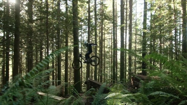 Long way from Kindergarten: Jackson Goldstone | MTB Insights S3 Ep10 Trailer