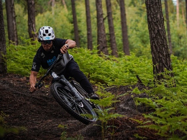 Introducing the New DVO Prime Damper