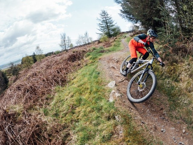 Looks Like a Session