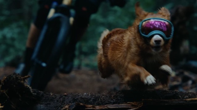 Video: Riding With Your Best Friend