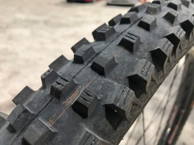 Schwalbe Magic Mary (SnakeSkin/Addix Soft) 2018 Mountain Bike Review