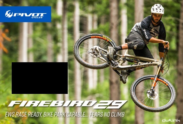 Pivot Cycles Issue 61