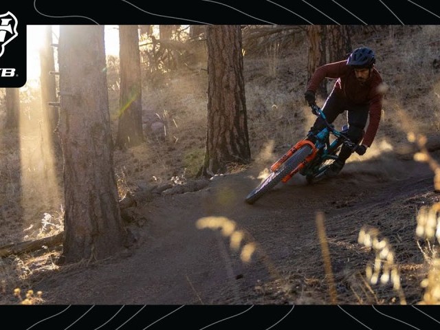 Video: 'WTB x Shawn Neer'