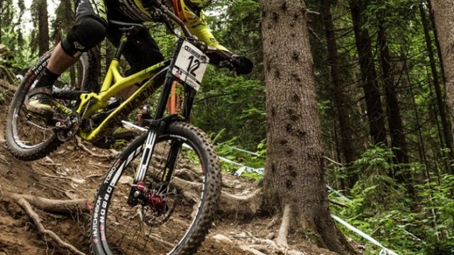 Issue 36 is Out Now!