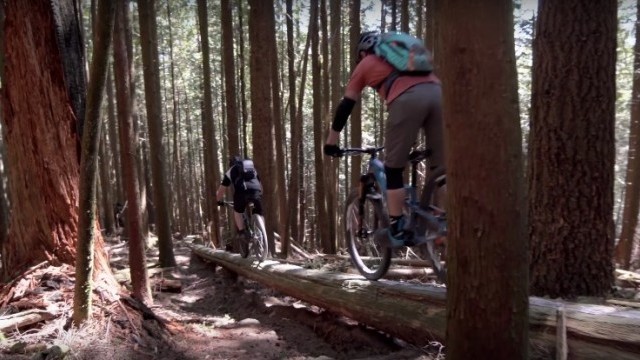Can I Find my Freeride Flow at the Woodlot?