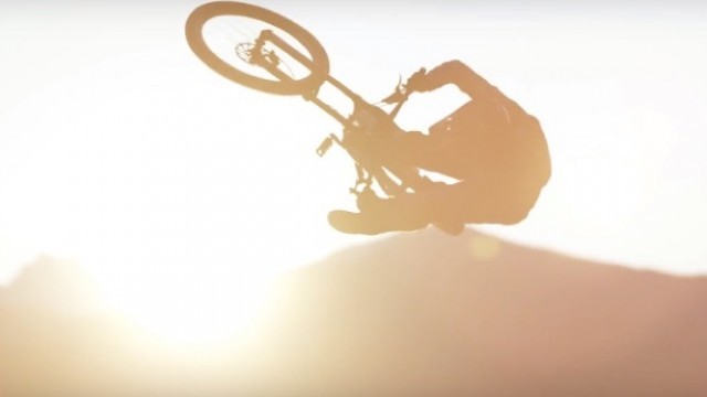 Artsy Highlights I Suzuki Nine Knights MTB 2017