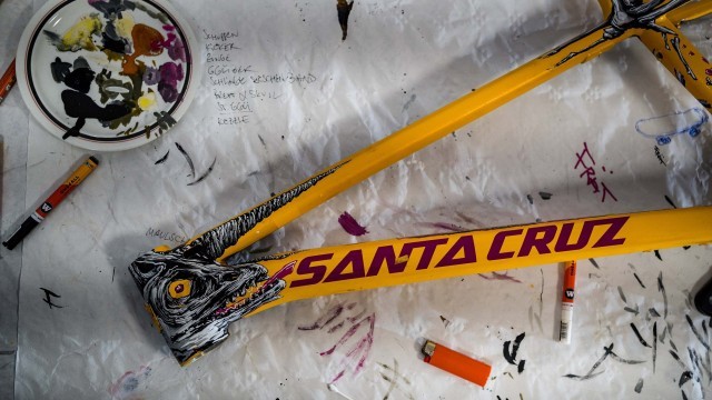 The New Santa Cruz Chameleon