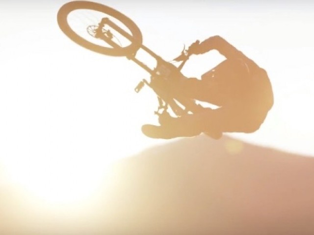 Artsy Highlights I Suzuki Nine Knights MTB 2017