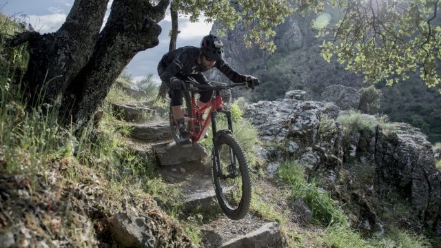 David Cachon: Birds, Cherries and Trails Mountain Bike Cáceres