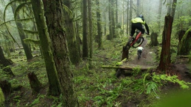 #MondayMotivation: OneUp Components Flat Pedals - 4K