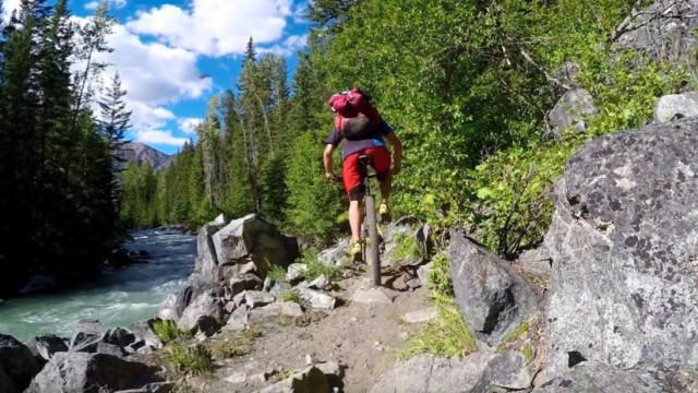 Tito in Chilcotins