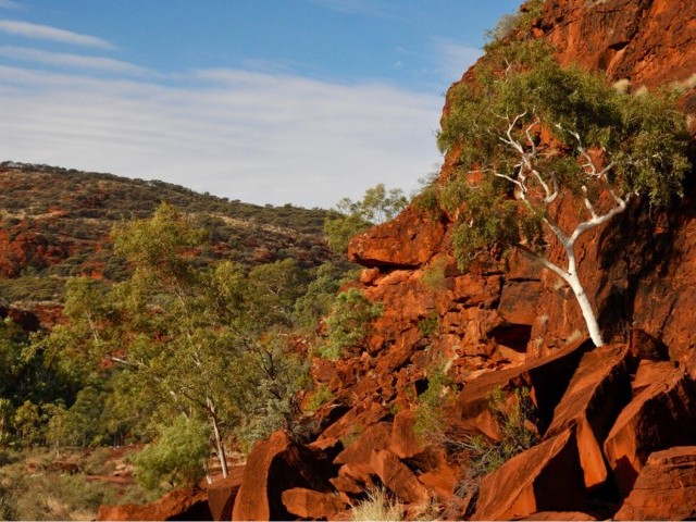 Mountain Biking Australia: Following the Finke River