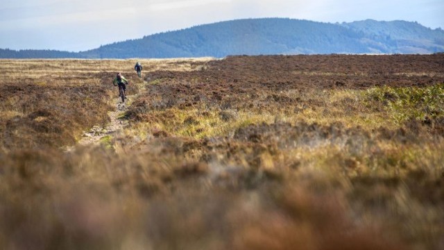Merida EX Enduro Returns for 2020